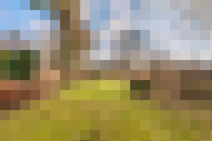 Rhederweg 198 Bellingwolde thumbnail 43