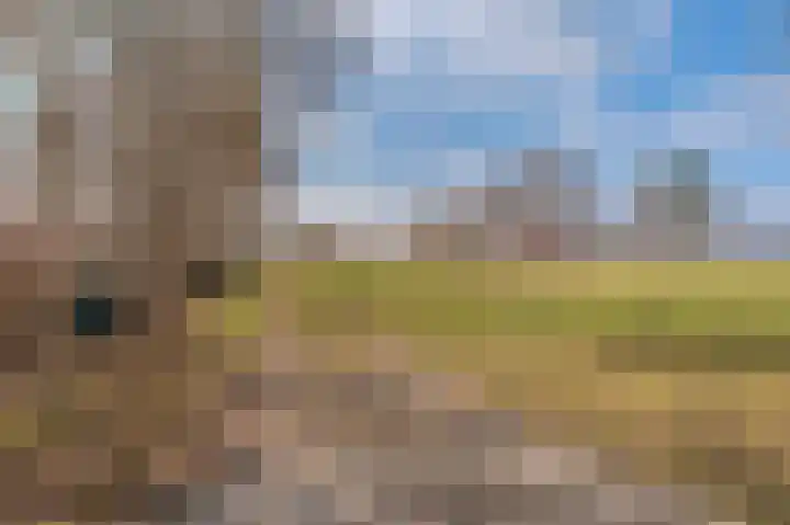Rhederweg 198 Bellingwolde thumbnail 46