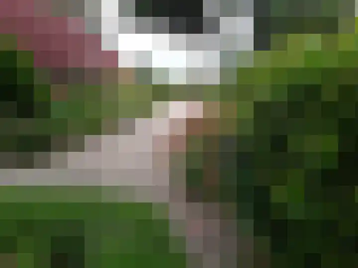 Rhederweg 198 Bellingwolde thumbnail 47