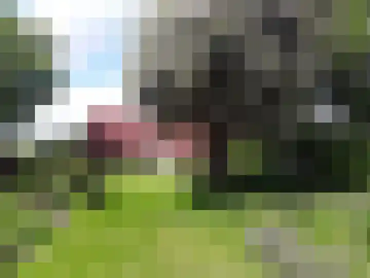 Rhederweg 198 Bellingwolde thumbnail 48