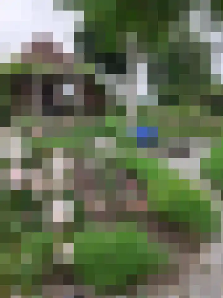 Rhederweg 198 Bellingwolde thumbnail 51