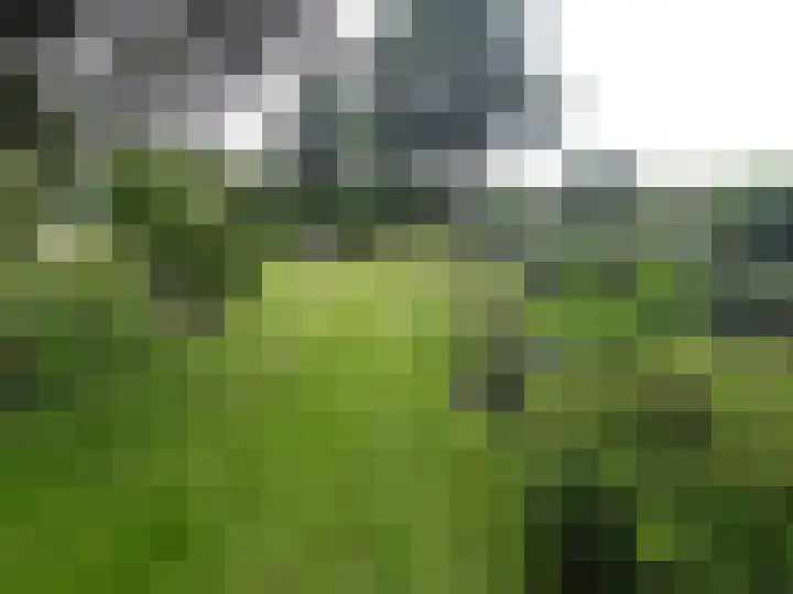 Rhederweg 198 Bellingwolde thumbnail 52