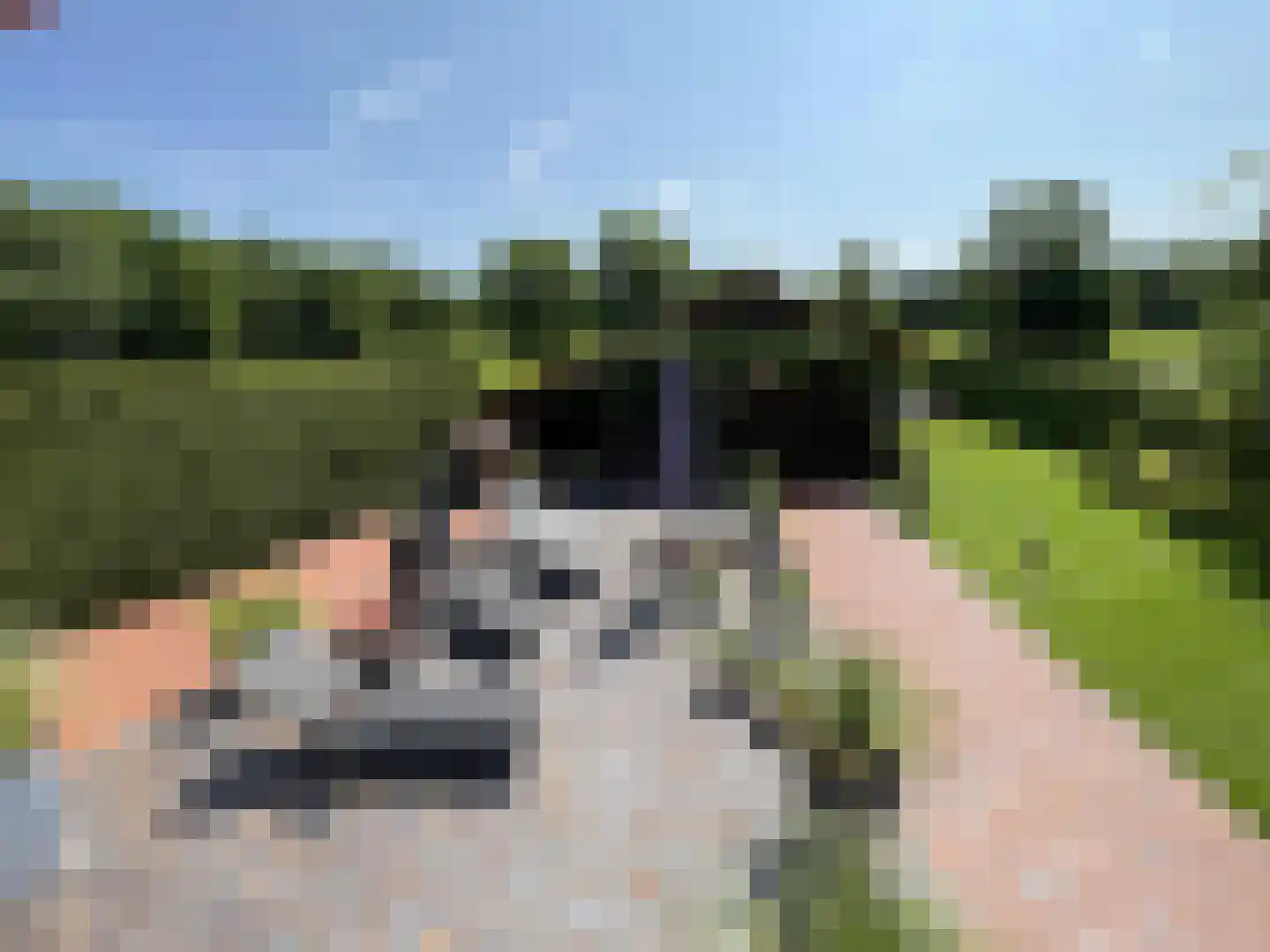 Rhederweg 6 Bellingwolde thumbnail 10