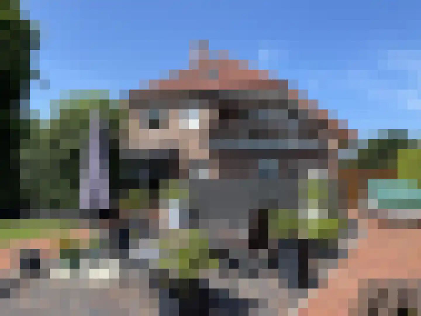 Rhederweg 6 Bellingwolde thumbnail 12
