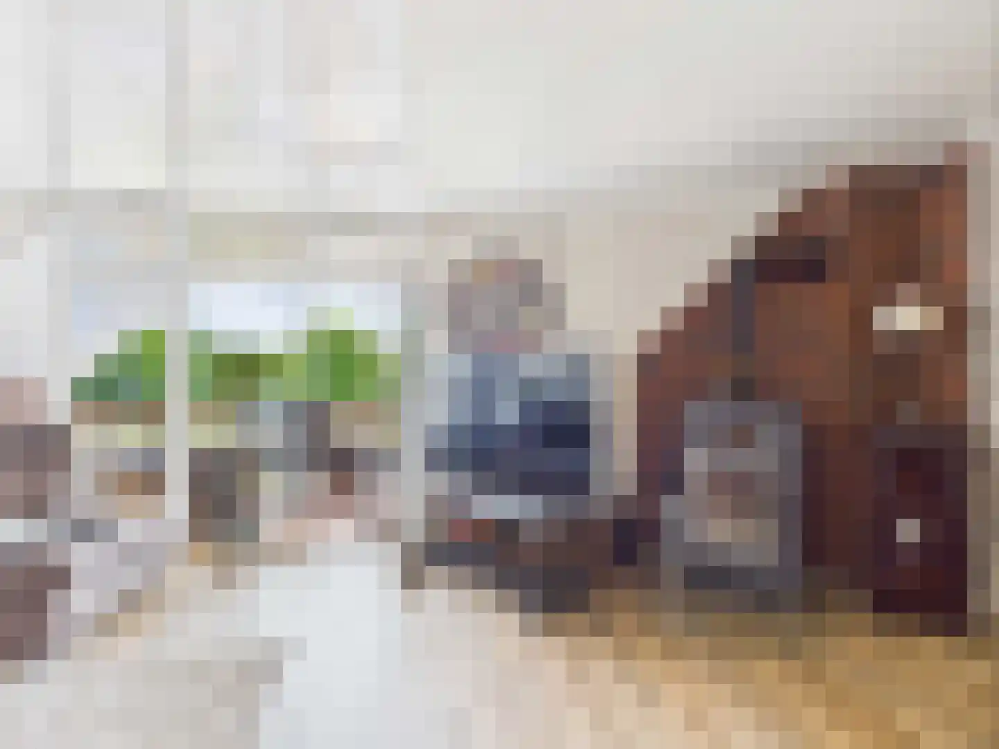 Rhederweg 6 Bellingwolde thumbnail 21