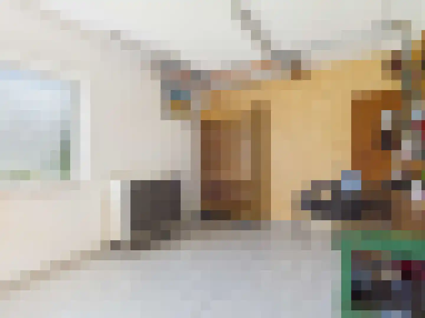 Rhederweg 6 Bellingwolde thumbnail 31