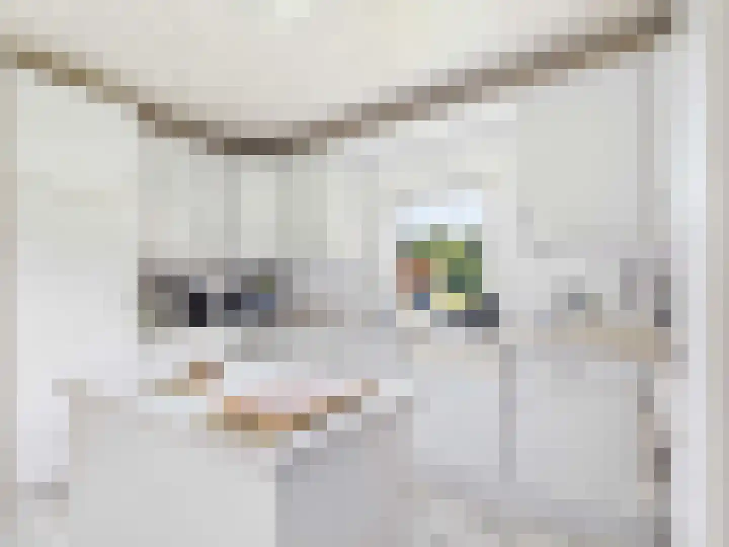 Rhederweg 6 Bellingwolde thumbnail 37