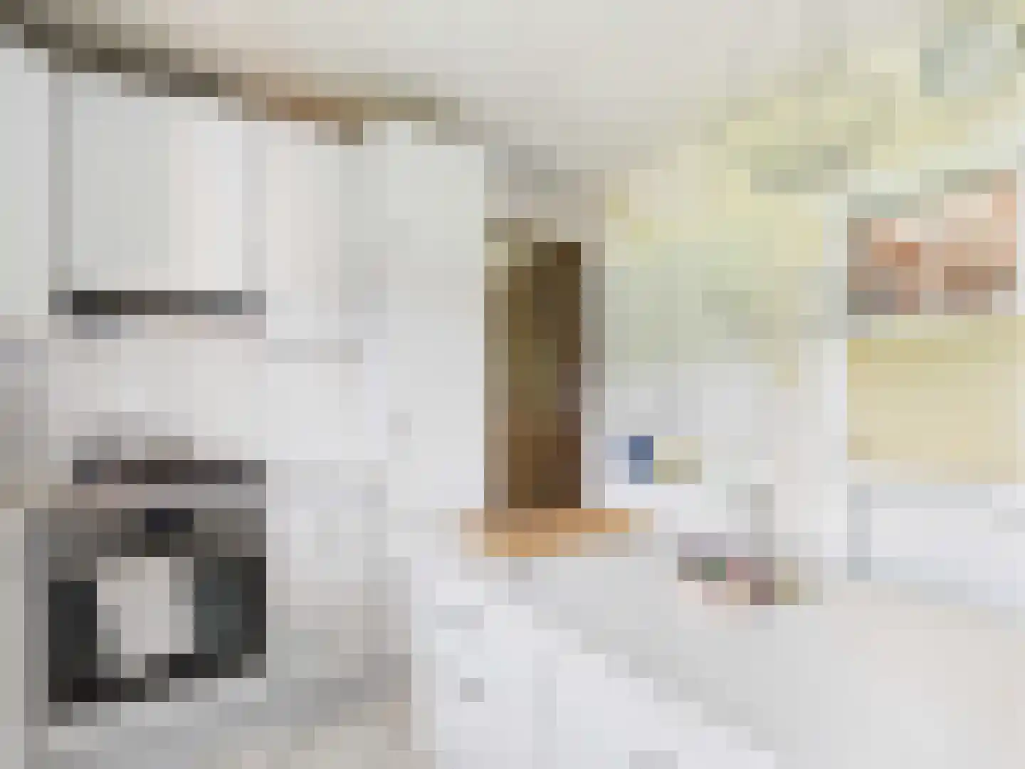 Rhederweg 6 Bellingwolde thumbnail 38