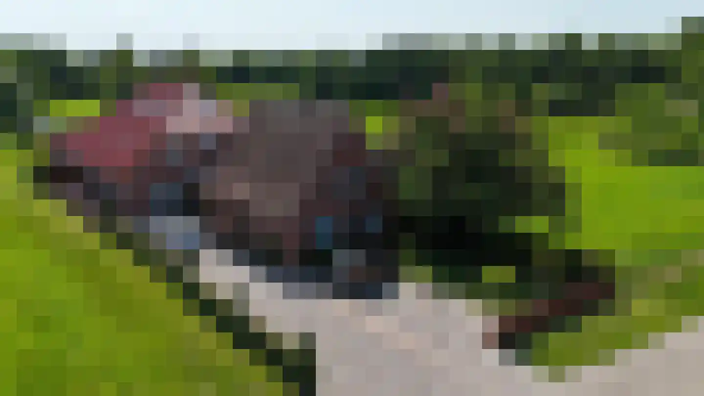 Rhederweg 6 Bellingwolde thumbnail 4