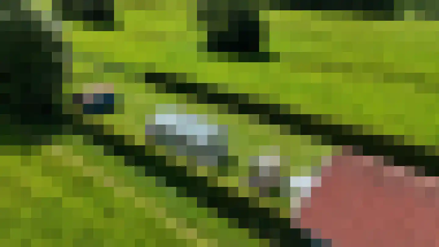 Rhederweg 6 Bellingwolde thumbnail 5