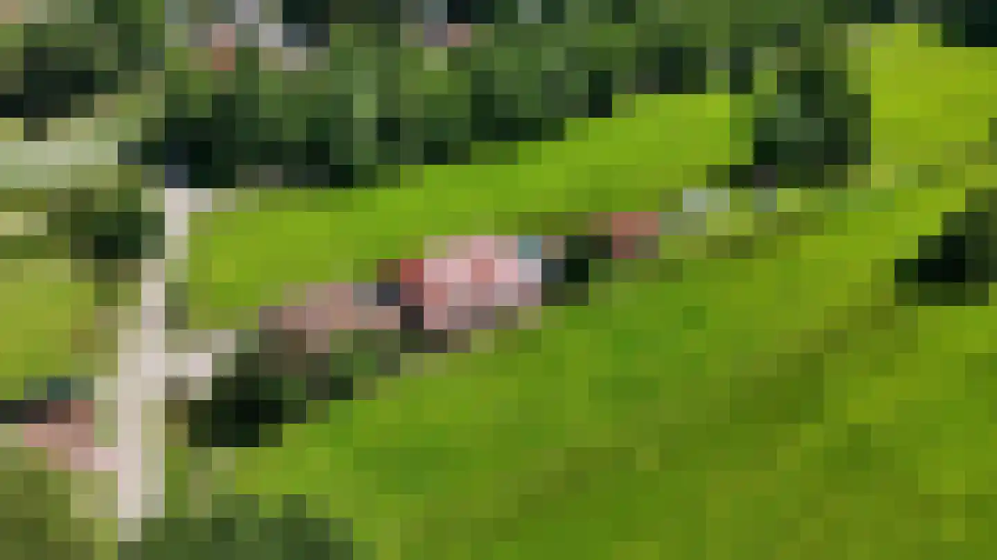 Rhederweg 6 Bellingwolde thumbnail 6
