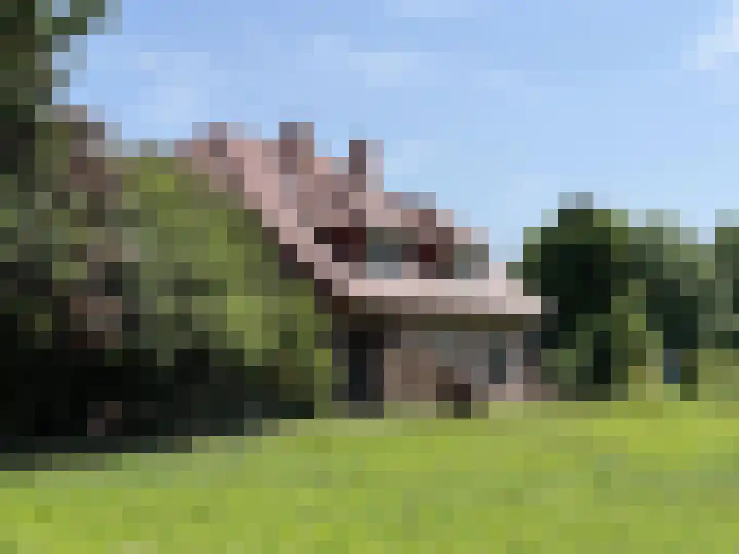 Rhederweg 6 Bellingwolde thumbnail 7
