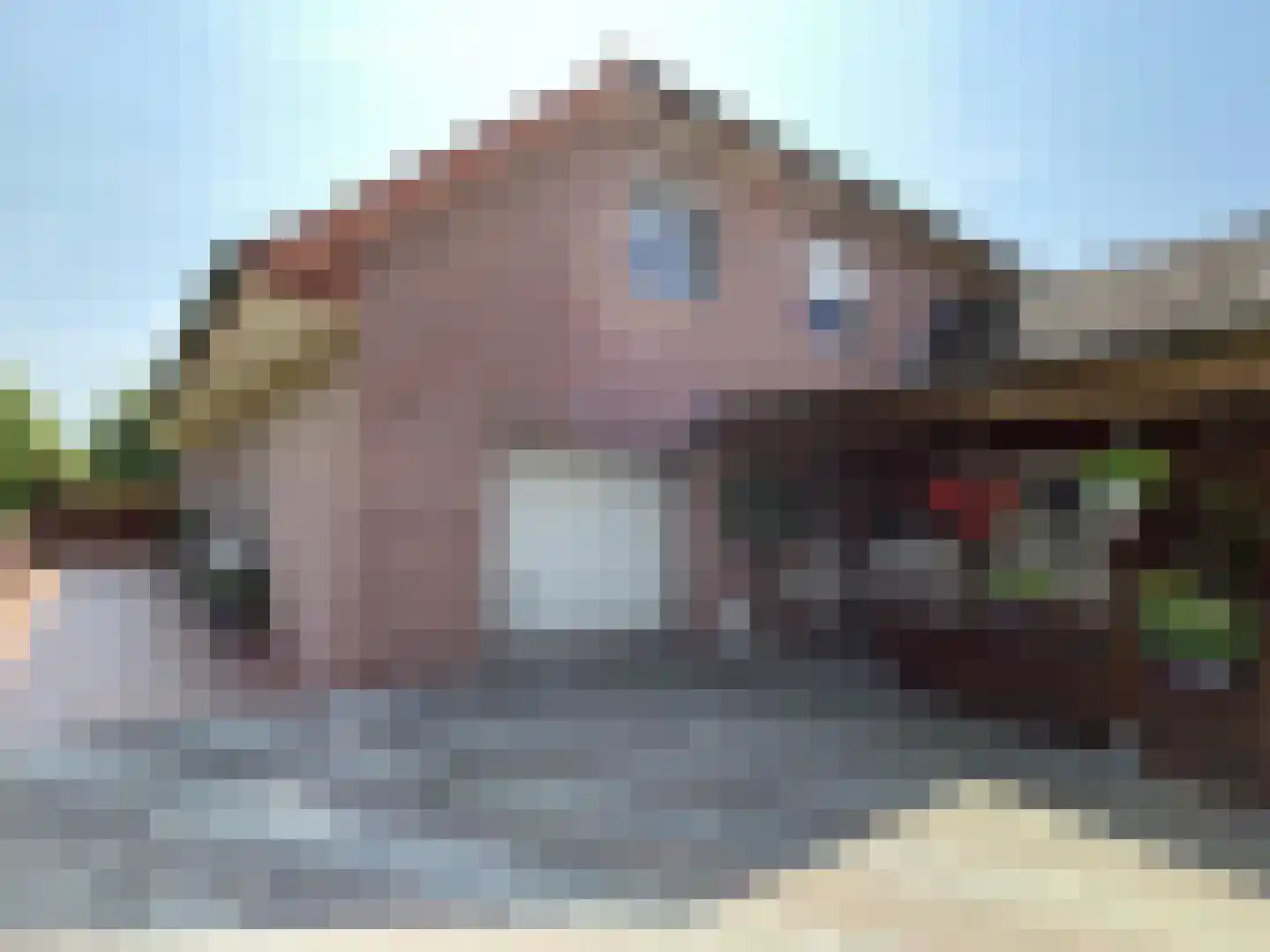Rhederweg 6 Bellingwolde thumbnail 8