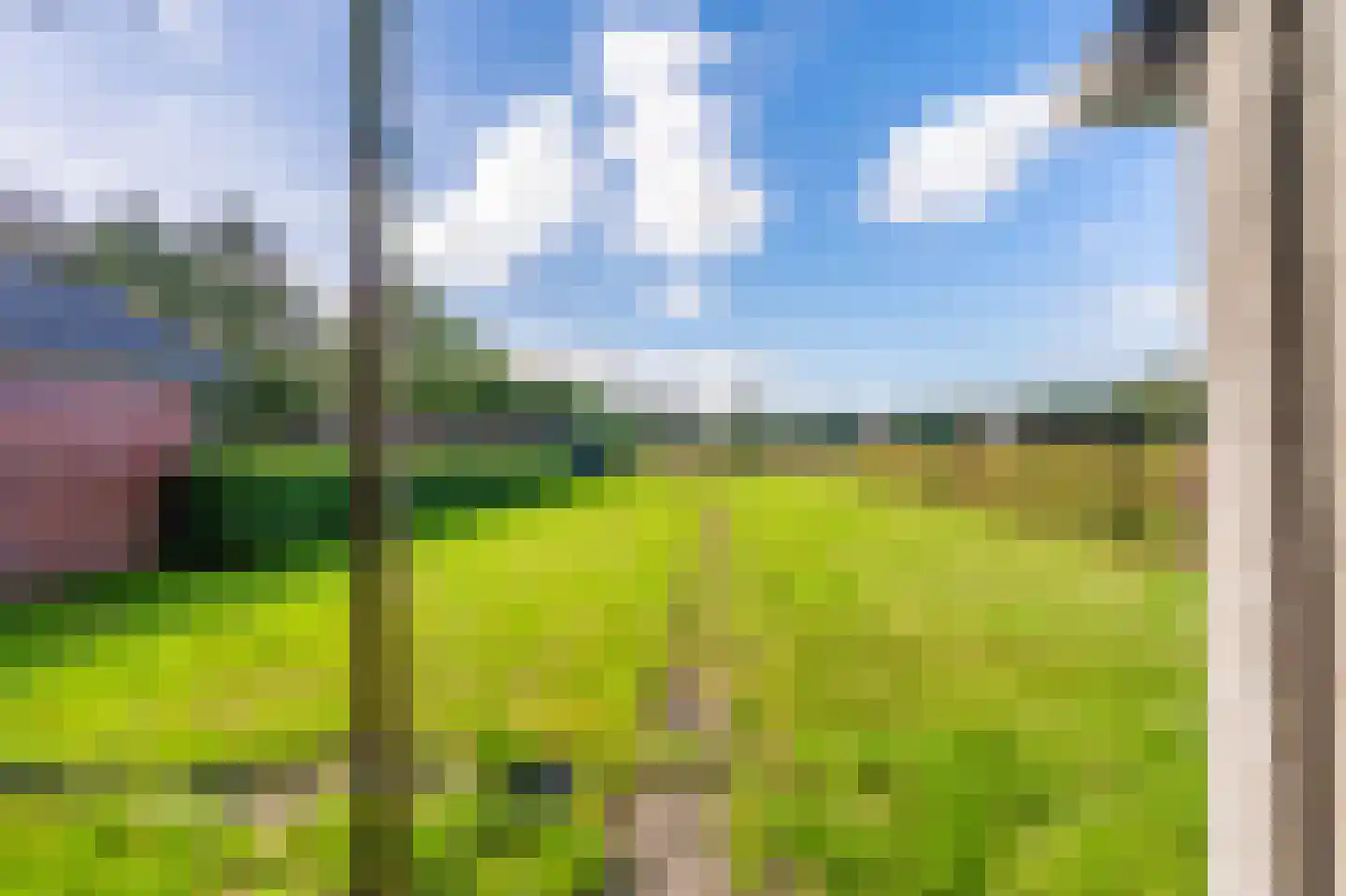 Rhederweg 86 Bellingwolde thumbnail 16