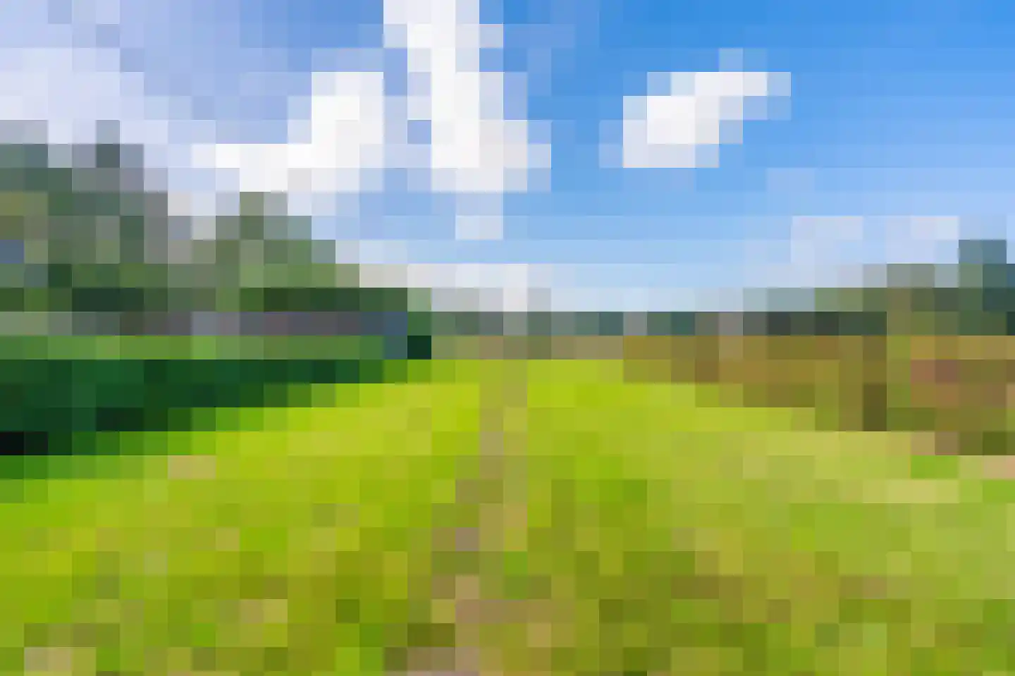 Rhederweg 86 Bellingwolde thumbnail 17