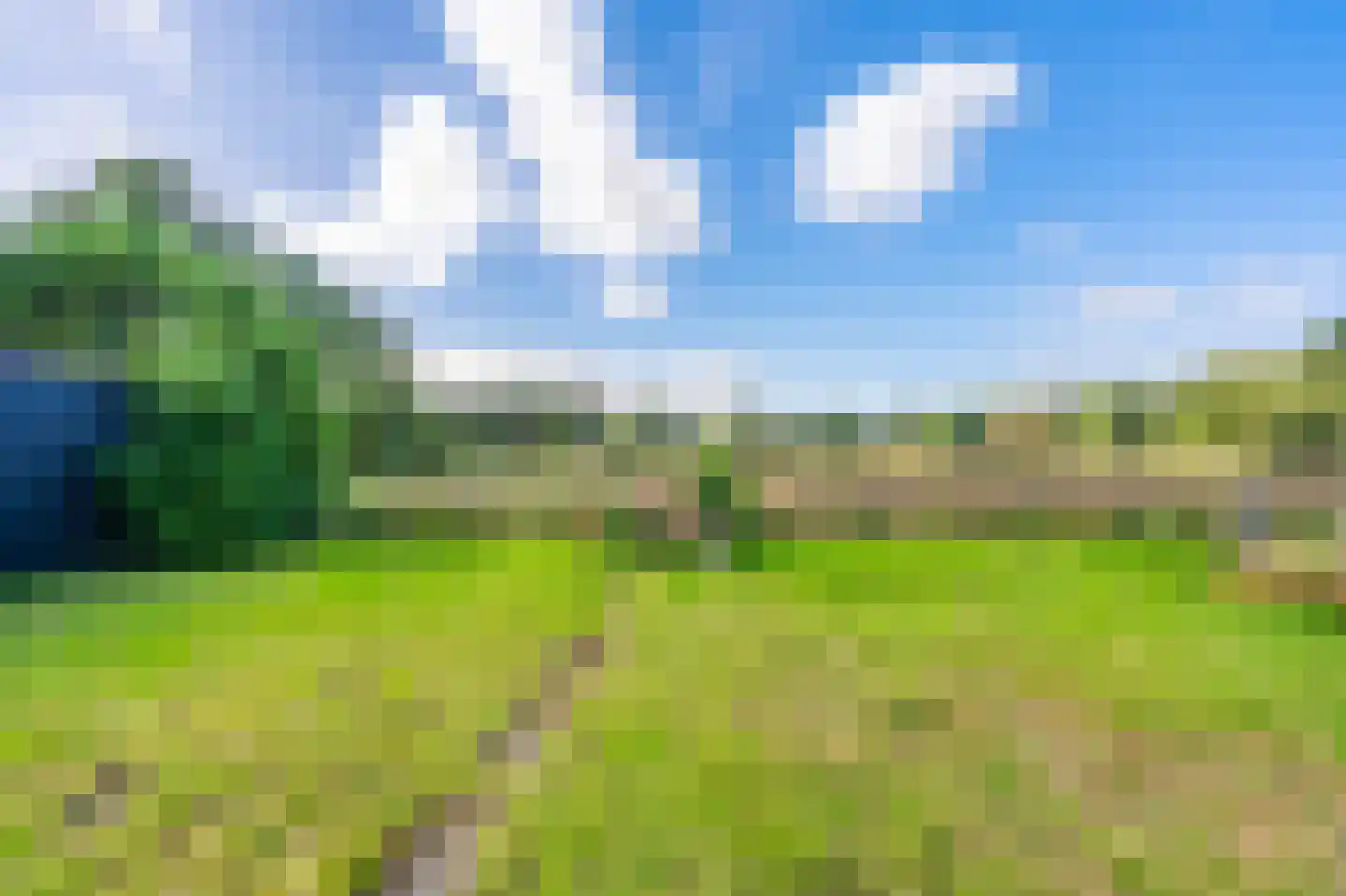 Rhederweg 86 Bellingwolde thumbnail 18