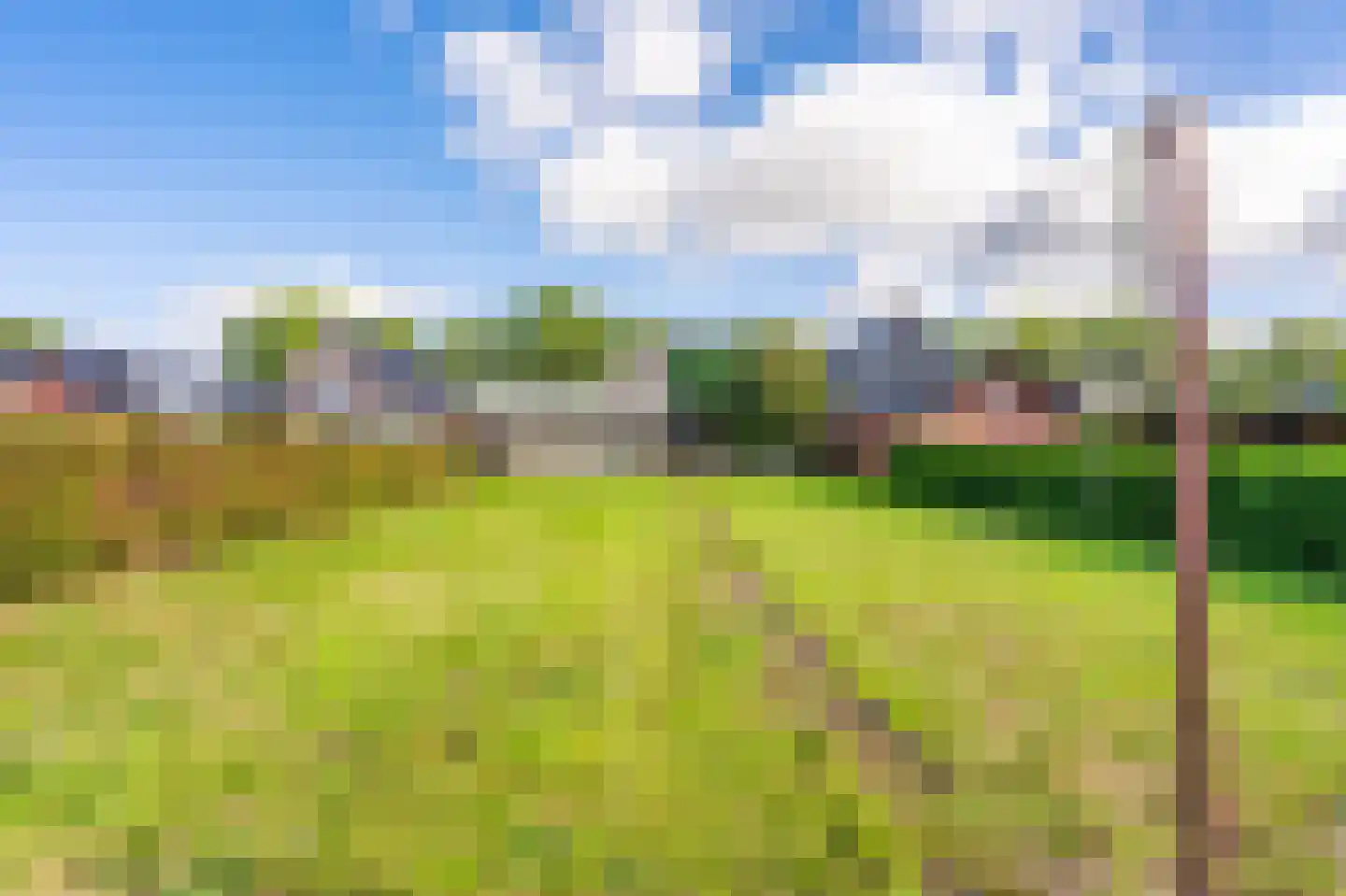 Rhederweg 86 Bellingwolde thumbnail 19