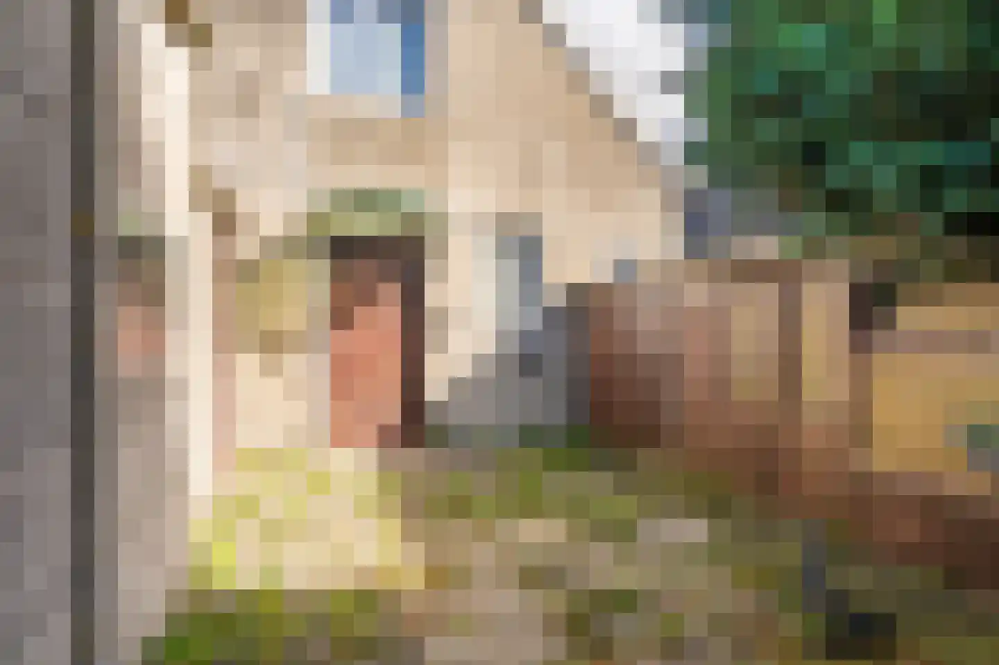 Rhederweg 86 Bellingwolde thumbnail 21