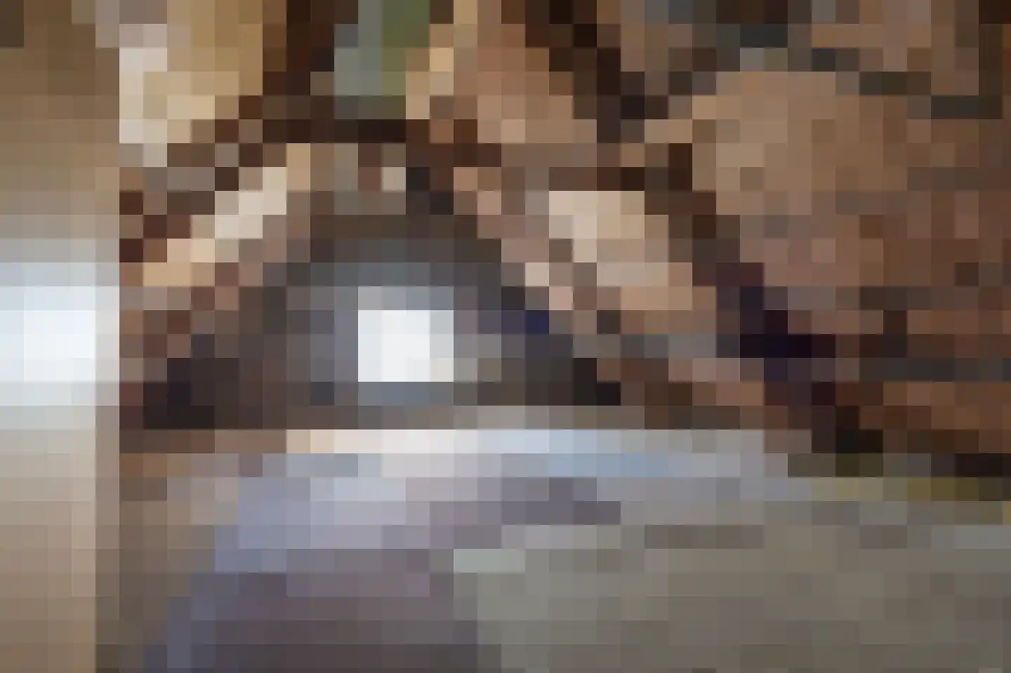 Rhederweg 86 Bellingwolde thumbnail 47