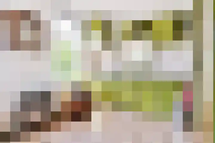 Rheezerend 118 Dedemsvaart thumbnail 11