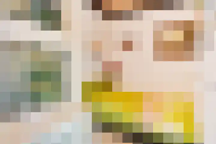 Rheezerend 118 Dedemsvaart thumbnail 13