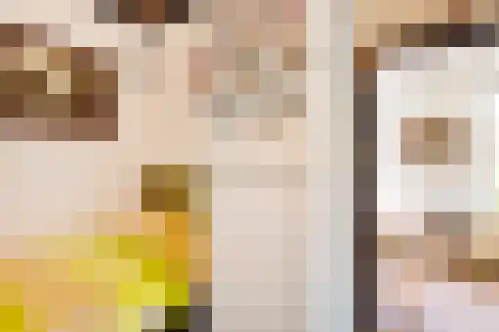 Rheezerend 118 Dedemsvaart thumbnail 14