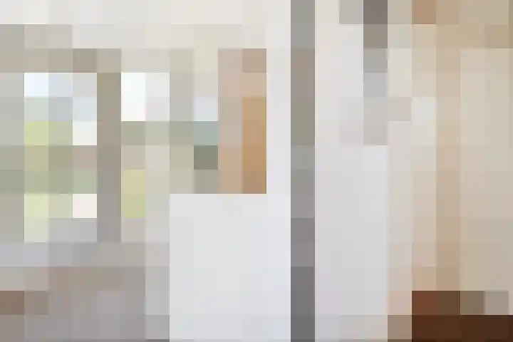 Rheezerend 118 Dedemsvaart thumbnail 17