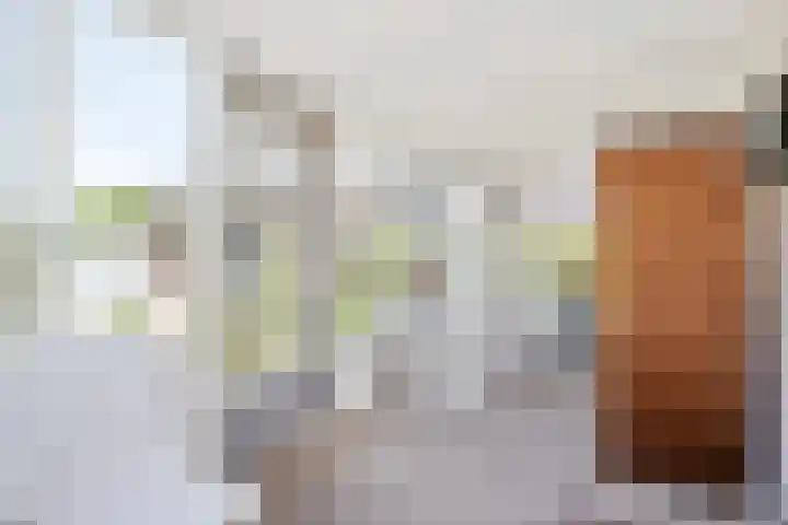 Rheezerend 118 Dedemsvaart thumbnail 18