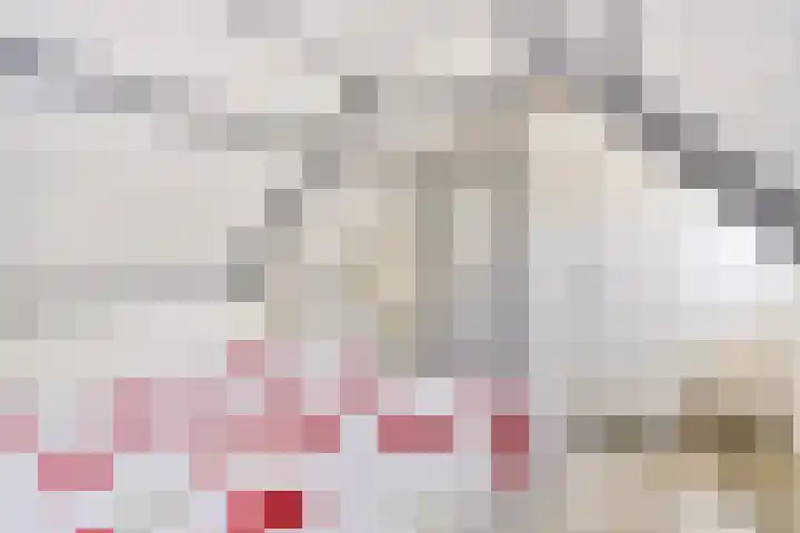Rheezerend 118 Dedemsvaart thumbnail 23