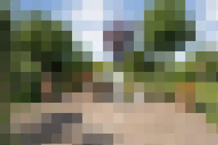 Rheezerend 118 Dedemsvaart thumbnail 24