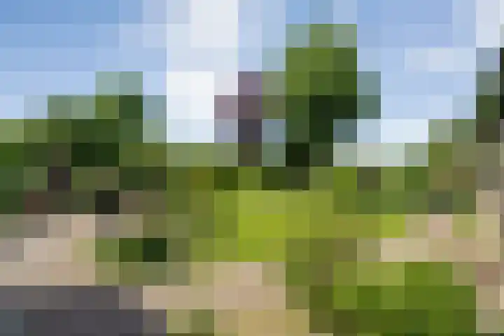 Rheezerend 118 Dedemsvaart thumbnail 25