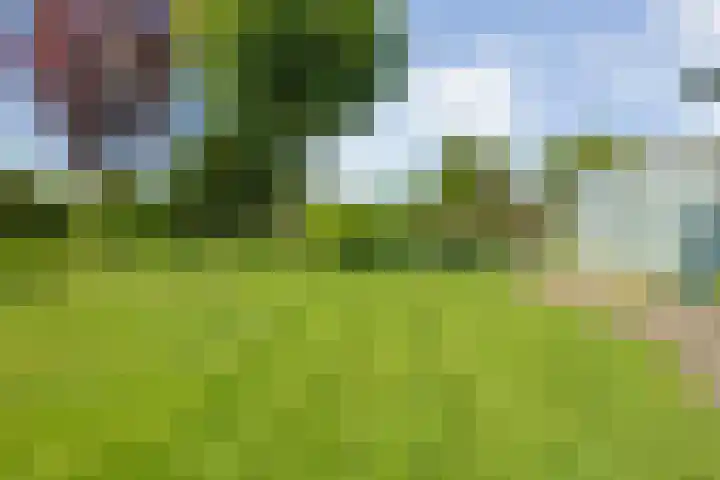 Rheezerend 118 Dedemsvaart thumbnail 26