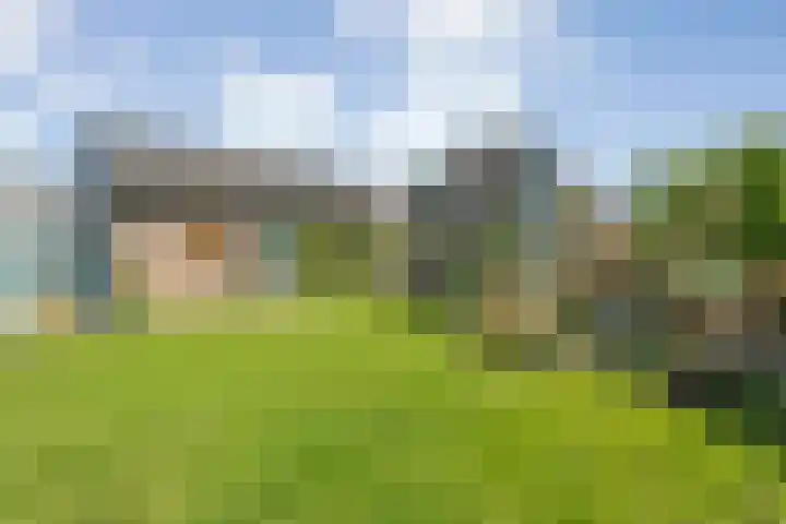 Rheezerend 118 Dedemsvaart thumbnail 27
