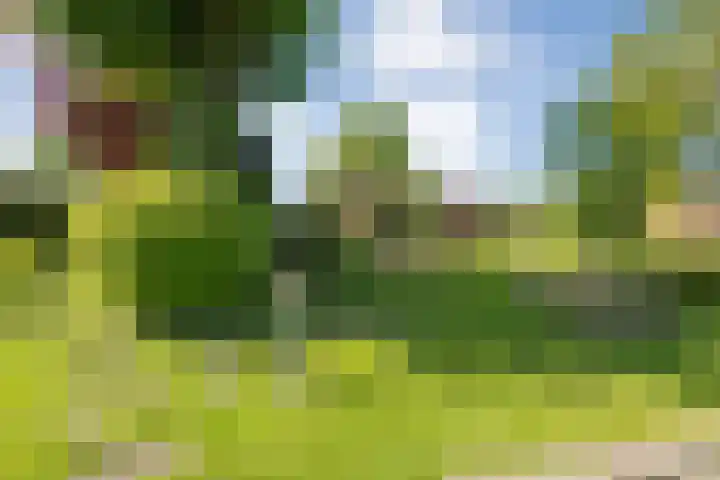Rheezerend 118 Dedemsvaart thumbnail 28