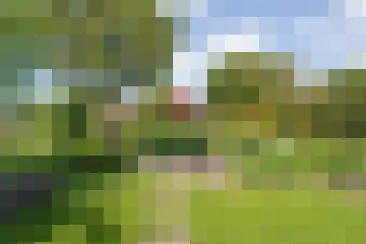 Rheezerend 118 Dedemsvaart thumbnail 29