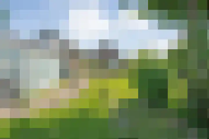 Rheezerend 118 Dedemsvaart thumbnail 31