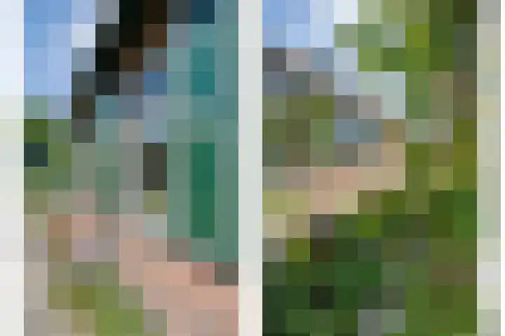 Rheezerend 118 Dedemsvaart thumbnail 32