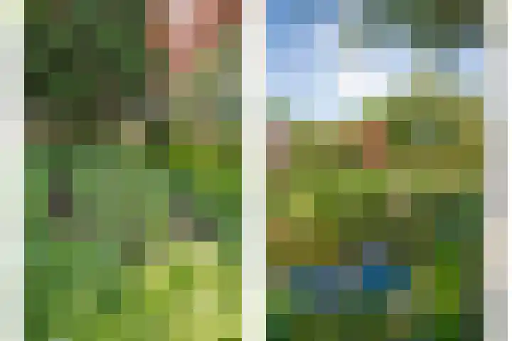 Rheezerend 118 Dedemsvaart thumbnail 33