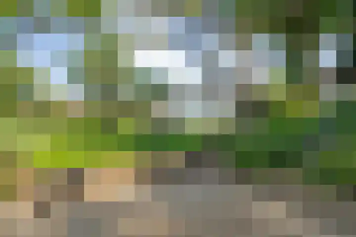 Rheezerend 118 Dedemsvaart thumbnail 34
