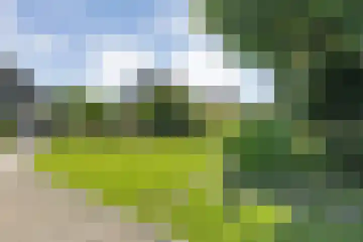 Rheezerend 118 Dedemsvaart thumbnail 35