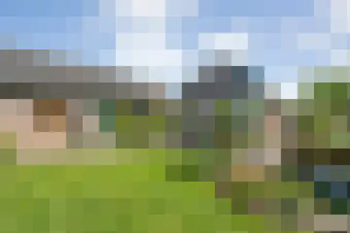 Rheezerend 118 Dedemsvaart thumbnail 36