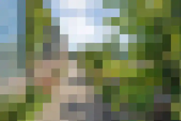 Rheezerend 118 Dedemsvaart thumbnail 37