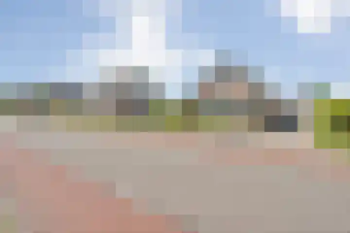 Rheezerend 118 Dedemsvaart thumbnail 39