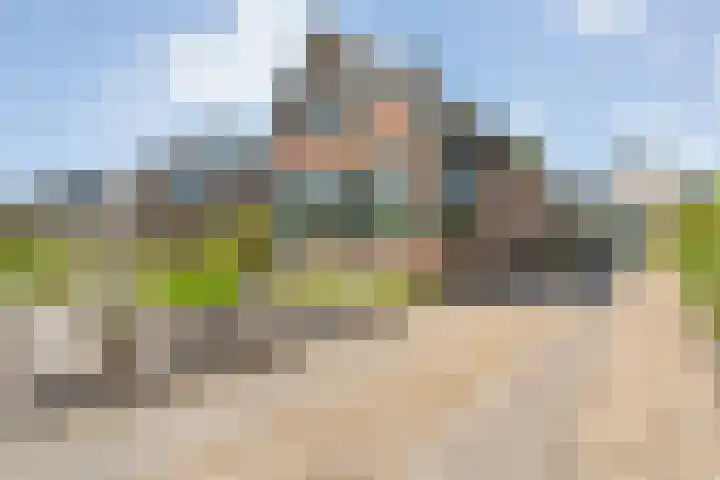 Rheezerend 118 Dedemsvaart thumbnail 4