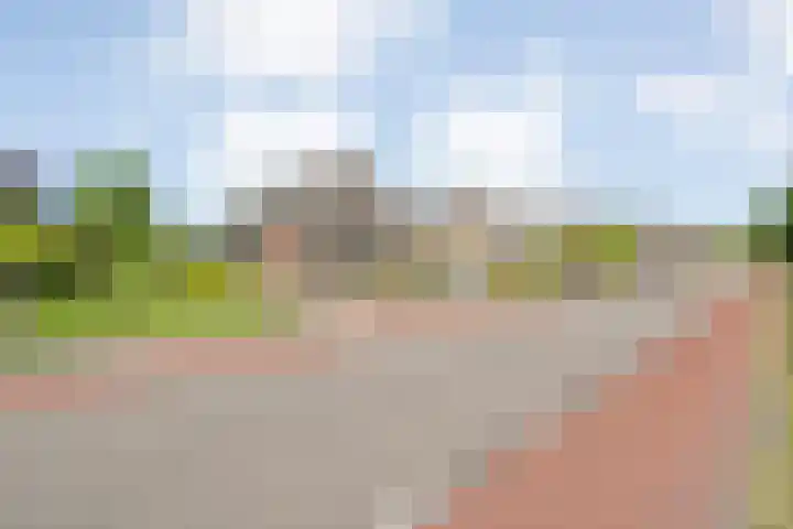 Rheezerend 118 Dedemsvaart thumbnail 40