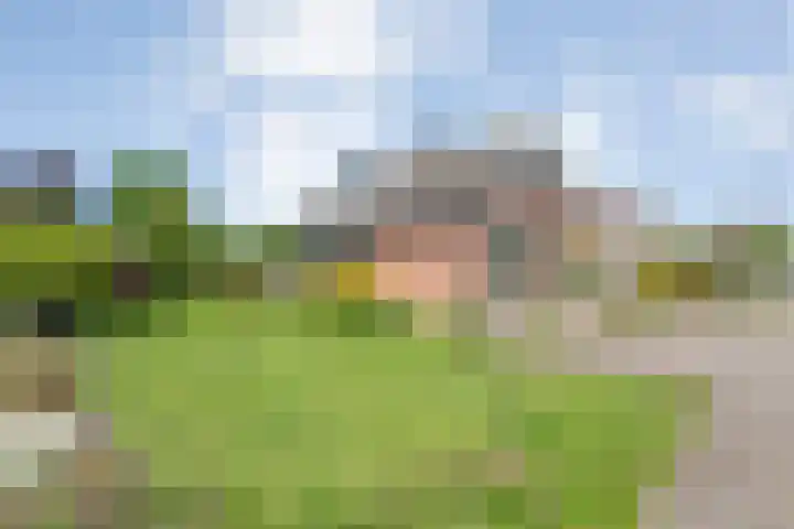 Rheezerend 118 Dedemsvaart thumbnail 41