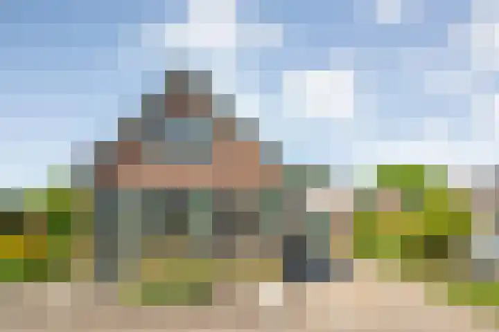 Rheezerend 118 Dedemsvaart thumbnail 42