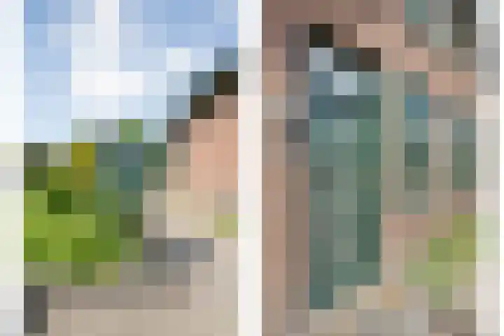 Rheezerend 118 Dedemsvaart thumbnail 43