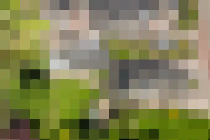 Rheezerend 118 Dedemsvaart thumbnail 44