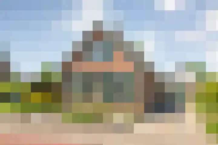Rheezerend 118 Dedemsvaart thumbnail 48